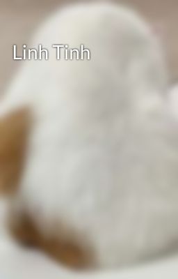 Linh Tinh