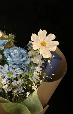 Linhbach | gam màu của chúng ta