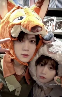 (Lôi Bằng) Cục bông nhỏ của Điền thiếu!!!