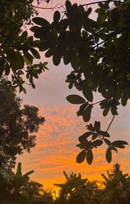 lối nhỏ còn vương hương tóc.