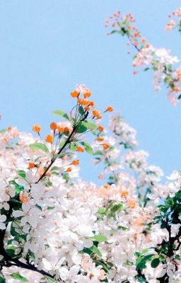 (LuWoo) Ngược Dòng