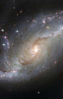 LÝ THUYẾT MET (Multi-Existence Topology)