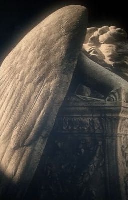 m là cái thá gì?