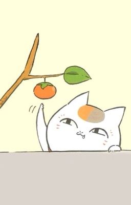 mansun ; kẹo bốn mùa