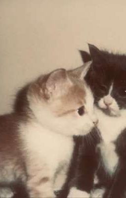 mansun | mình em thôi