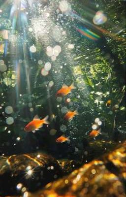 [Marhoon] Chuyện kỉ yếu |Textfic