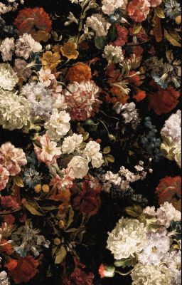 marhoon | love turns out to be hurting so much