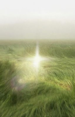 marhoon | Tôi khóc, Sao khóc và Mùa hè trôi