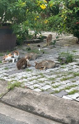 [marjames] nghịch lý trùng sinh