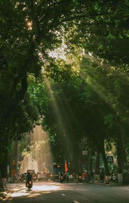 mason nguyễn × congb | mind games.