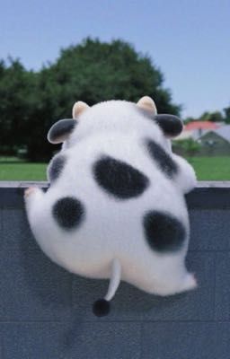 masonb • tình cờ