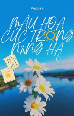 Màu Hoa Cúc Trong Nắng Hạ