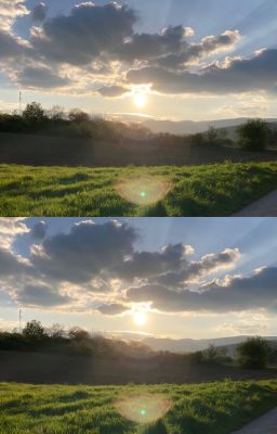 Mèo vờn chuột | WHC | textfic