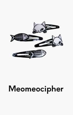 Meomeocipher˚✮
