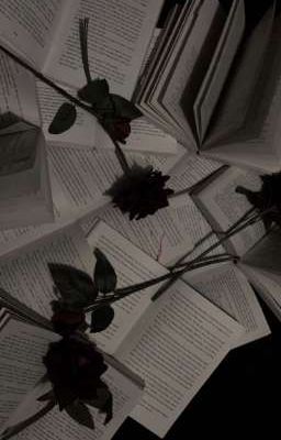 minsung | giữ trong tầm tay.