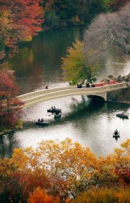 [Miyabichi No Onmyouji] Nhân Sinh