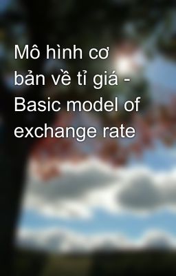 Mô hình cơ bản về tỉ giá - Basic model of exchange rate