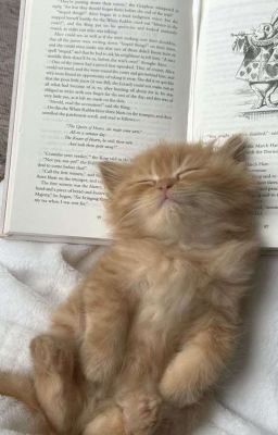 Mỗi Ngày Đều Là Yêu Em