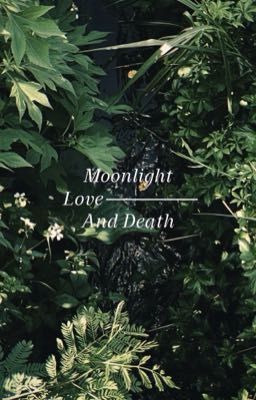 Moonlight, love and death |DLA X TP|