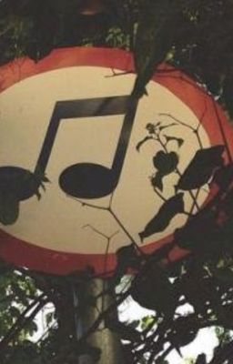 một bản tình ca, ta đi qua ngày hạ.