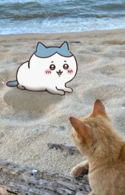 một cái chết có nghĩa.