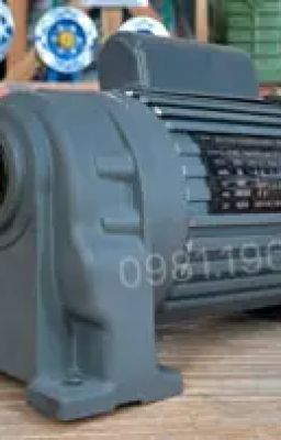 Motor giảm tốc 1 pha