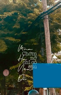 Mùa Hạ Năm Đó, Chớm Nở Chỉ Có Cậu