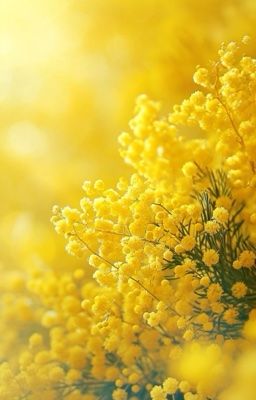 mười bảy. mười; thêm một lần mộng tưởng vỡ đôi