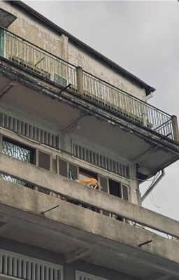 [muộii x lamoon] em còn đẹp lắm.