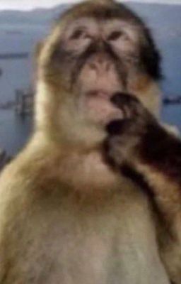 [ Mỹ Cường ] Shot