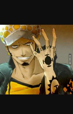 My Word Is Law {Trafalgar Law X Reader}