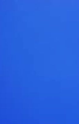 Nếu Chưa Từng Tương Ngộ-LanAnh29