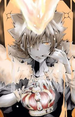 Nếu như Kudo Shinichi gặp Varia trước Sawada Tsunayoshi