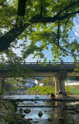 Ngày Gặp Lại Chỉ Muốn