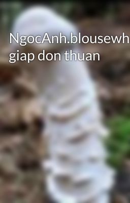 NgocAnh.blousewhite.buoi giap don thuan