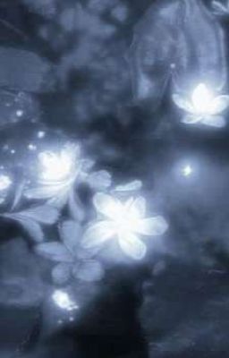 [NgọcVũ] Khúc bi ca dưới ánh trăng