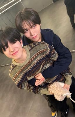 Ngủ chưa em? [1001 oneshot Daengyut]