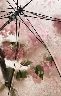 Người bình thường 