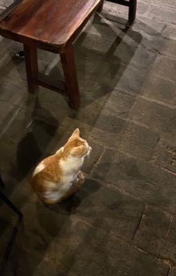 Người đầu tiên ★ Mansun