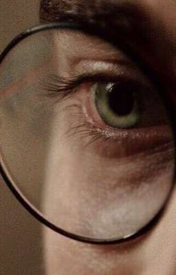 Người Thừa Kế Nhà Black 《HP Đồng Nhân》