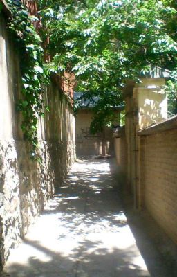 Nhã Tít | Khách trọ và con út