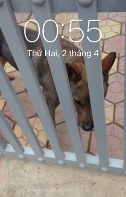 Nhà tôi!