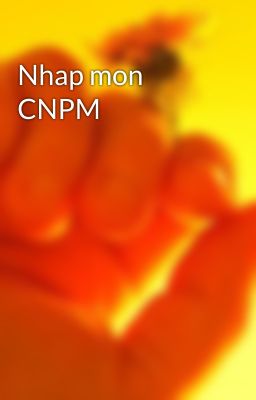 Nhap mon CNPM