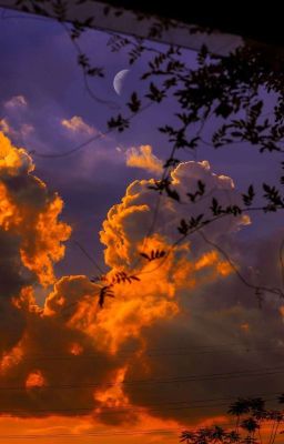 Nhật ký của Anh