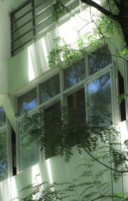 Nhật ký, Đời thường và Cảm nhận