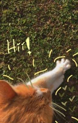 nhìn gì? nhớ rồi à?