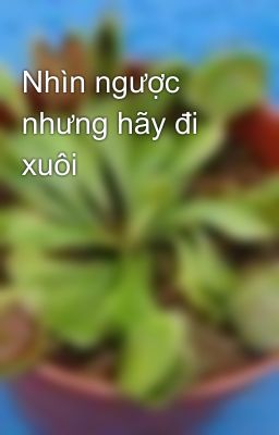 Nhìn ngược nhưng hãy đi xuôi