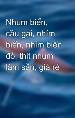 Nhum biển, cầu gai, nhím biển, nhím biển đỏ, thịt nhum làm sẵn, giá rẻ