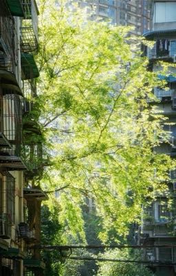 Những cái nắm tay vượt mùa.