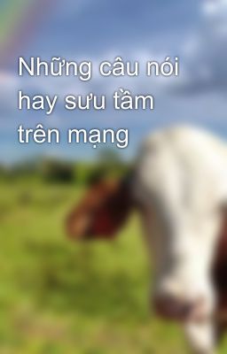 Những câu nói hay sưu tầm trên mạng